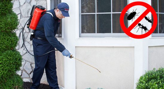 Boyabat Böcek İlaçlama böcek ilaçlama ve haşere kontrolü — ilaclama-tr.com